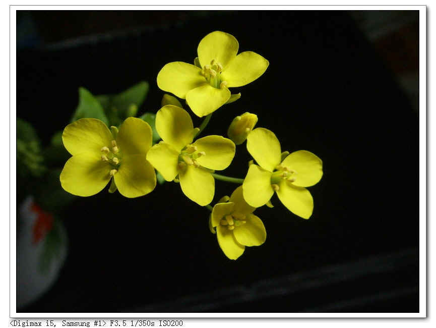 nEO_IMG_SSL10014.jpg (195438 ֽ)